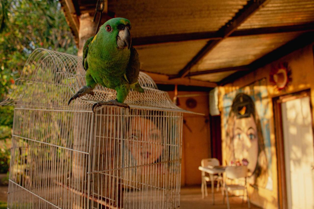 La Casa Del Artista Apartman Esquipulas Kültér fotó